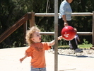 IMG 1164