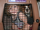 IMG 1520