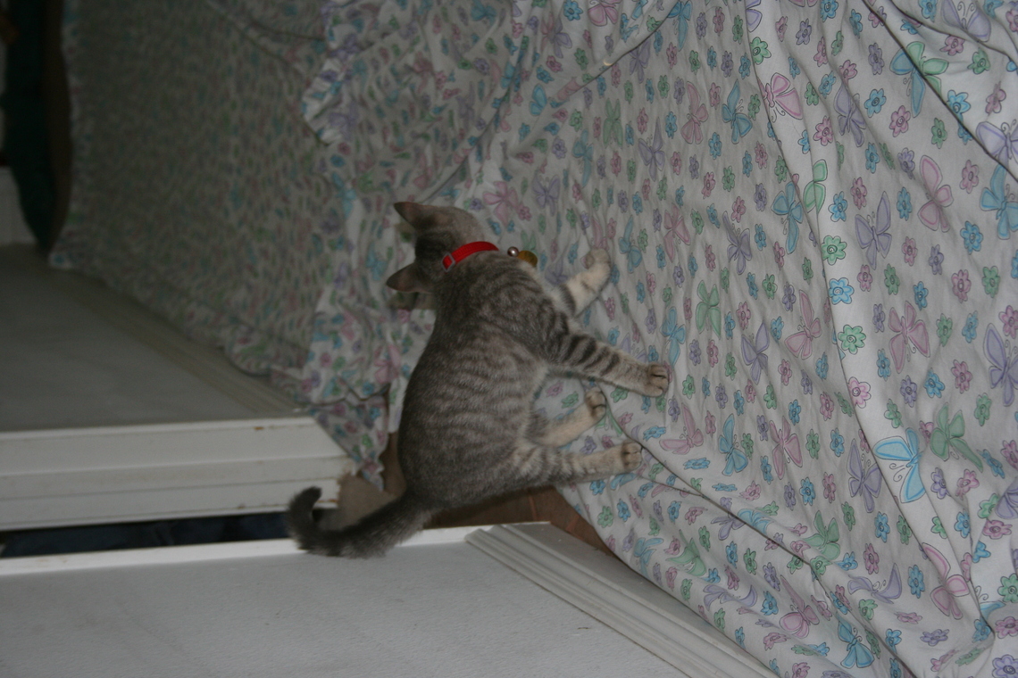 IMG 1527