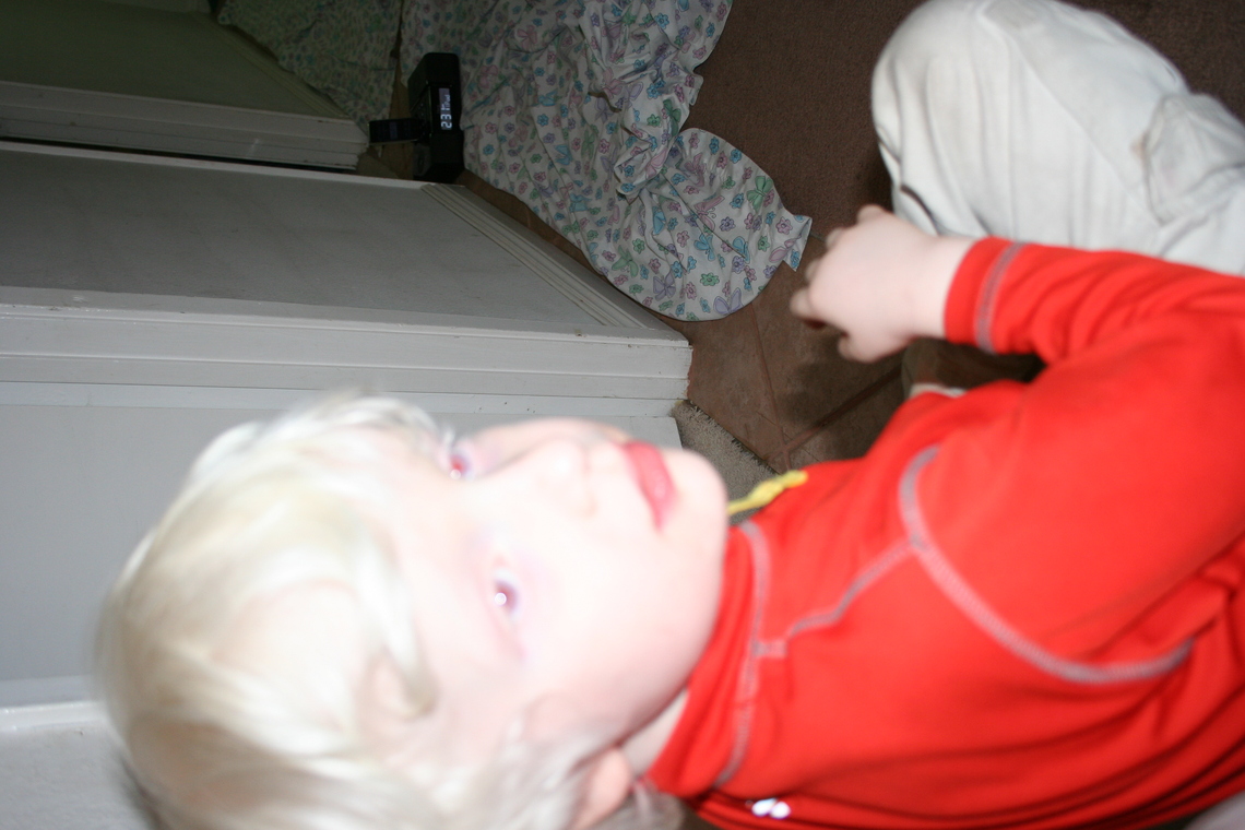 IMG 1538