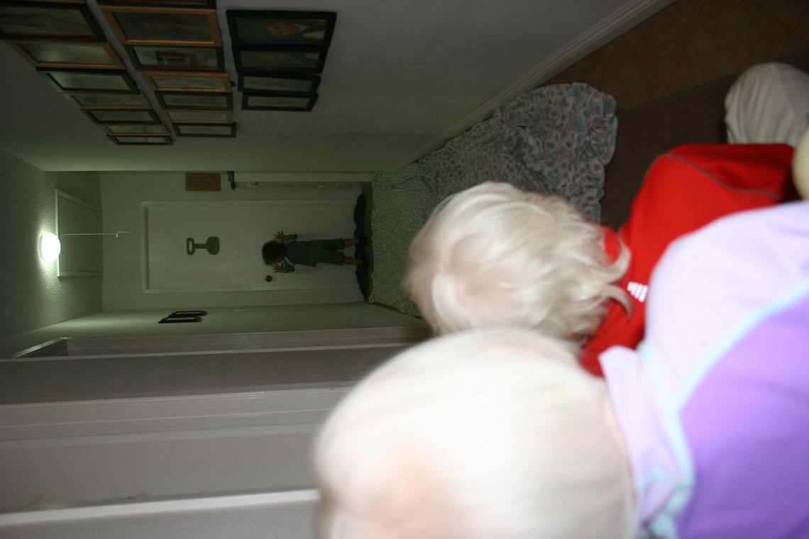 IMG 1539