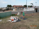 DSCN0535