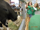 DSCN0560