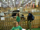 DSCN0564