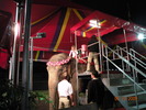 DSCN0582