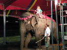 DSCN0583