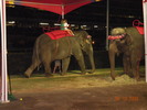 DSCN0586