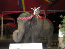 DSCN0588
