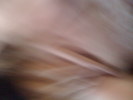 IMG 0003