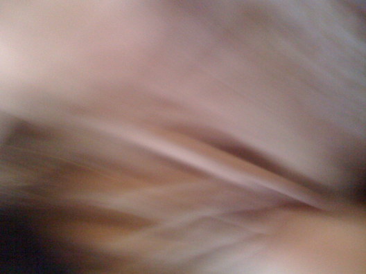 IMG 0003