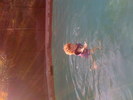 IMG 0878