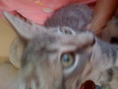 IMG 0952