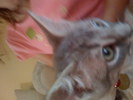 IMG 0958