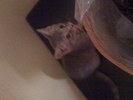 IMG 0972