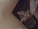 IMG 0973