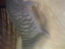 IMG 0983