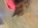 IMG 0985