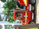CIMG1783