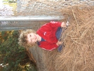 CIMG2004