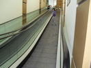 CIMG0376