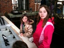 IMG 0880