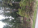 IMG 0013