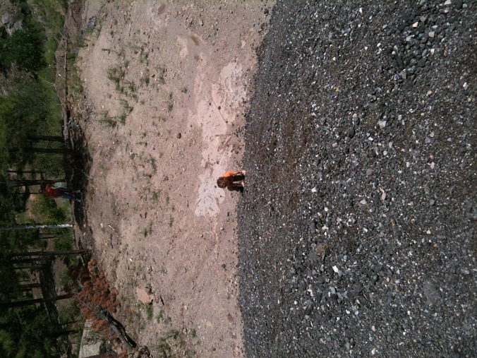 IMG 0063