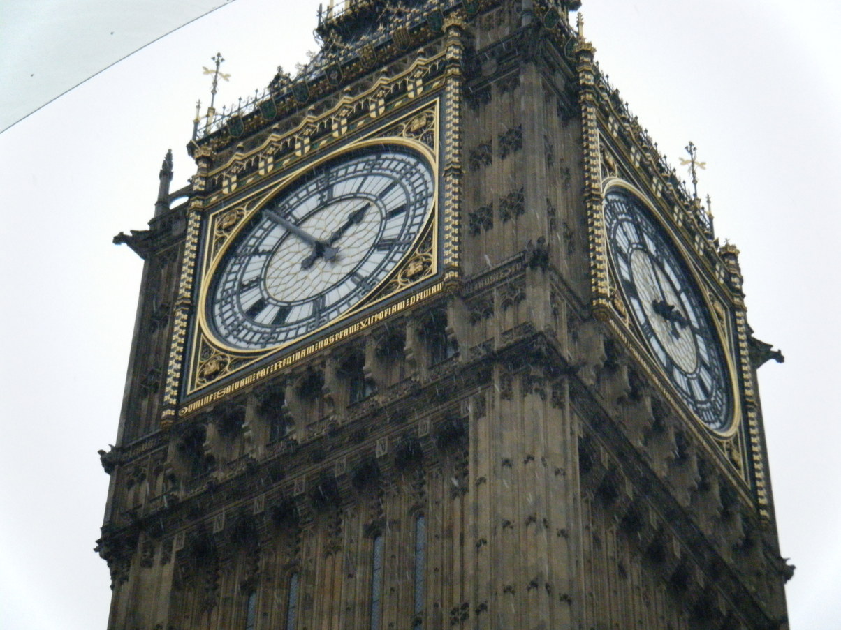DSCF1229