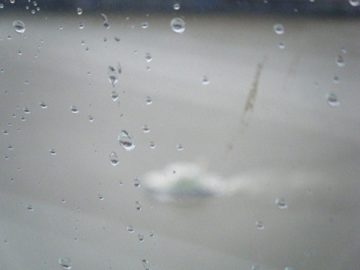 DSCF1254