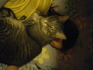 DSCF1264