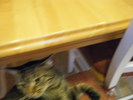 DSCF1272