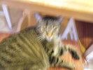DSCF1273