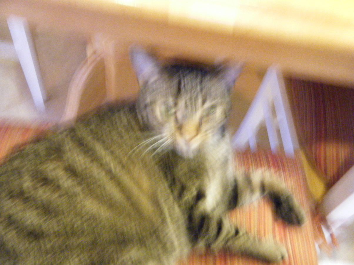 DSCF1273