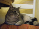 DSCF1274