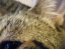 DSCF1278