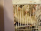DSCF1289