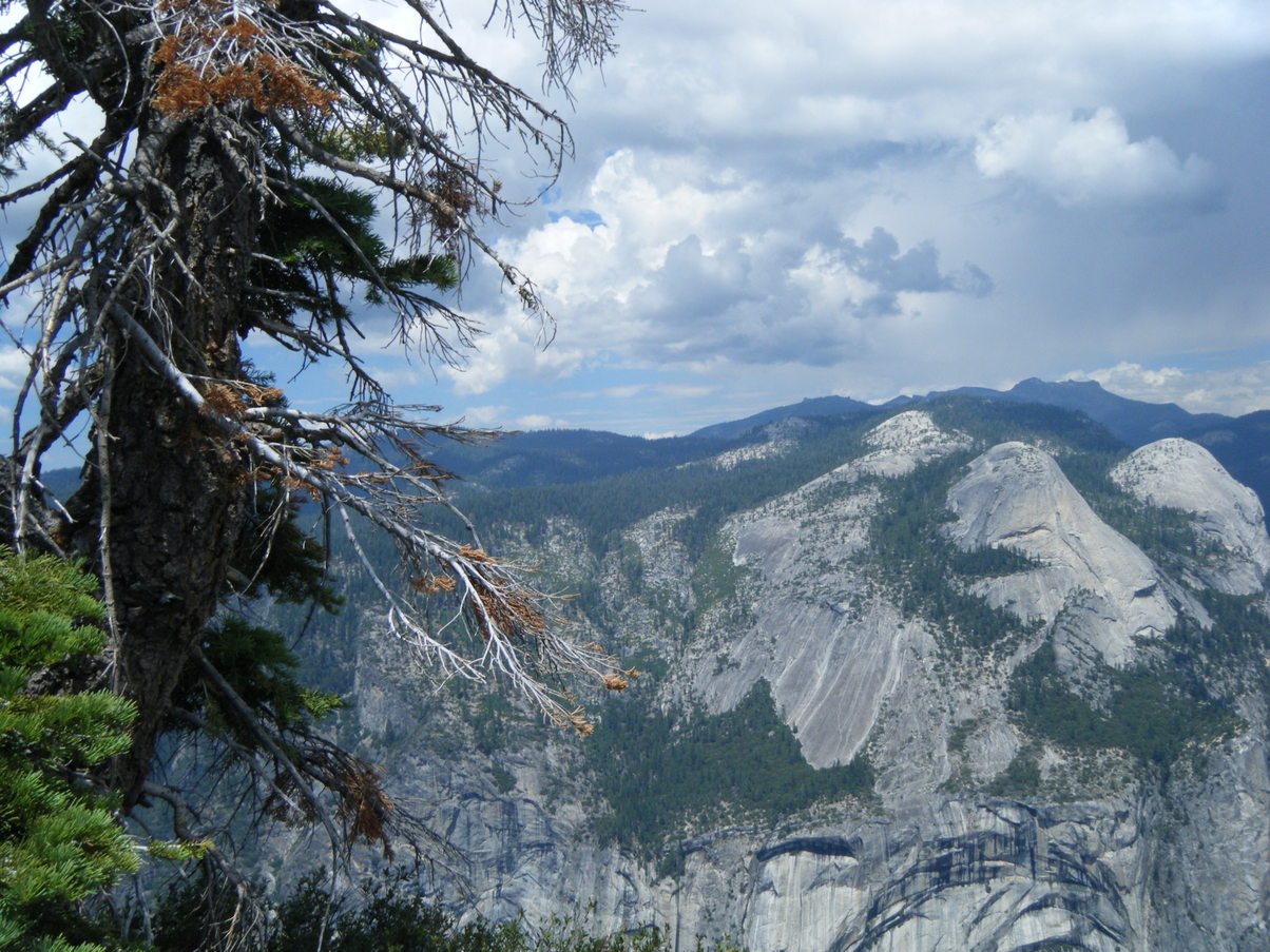 DSCF1676