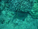 <font size=-1>2013-04-02</font><br> 23 40 31
