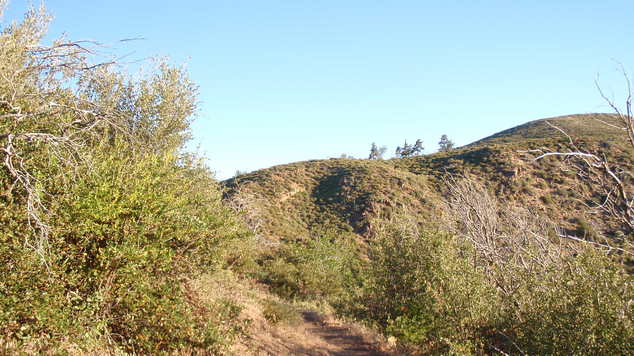 P6090327