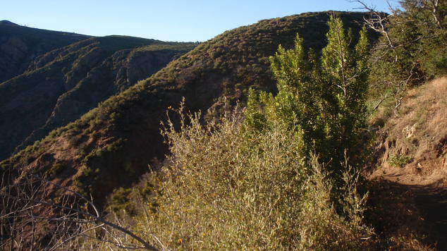 P6090330