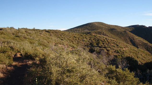 P6090331