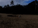 IMG 3705