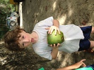 IMG 3770