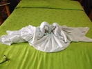 IMG 3773