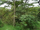 SAM 0044