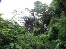 SAM 0084