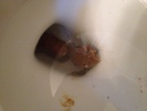 IMG 3893