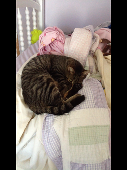 <font size=-1>2013-10-22</font><br> 20 00 56