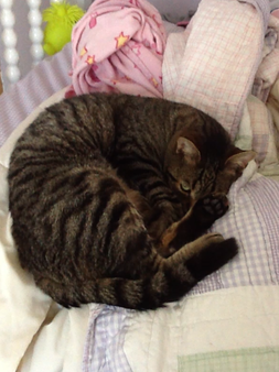 <font size=-1>2013-10-22</font><br> 20 01 14