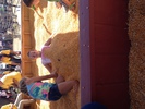 IMG 4091